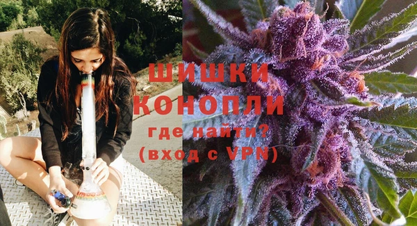 хмурый Бронницы