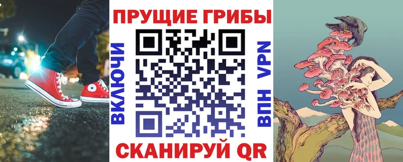 Псилоцибиновые грибы ЛСД  Клинцы 